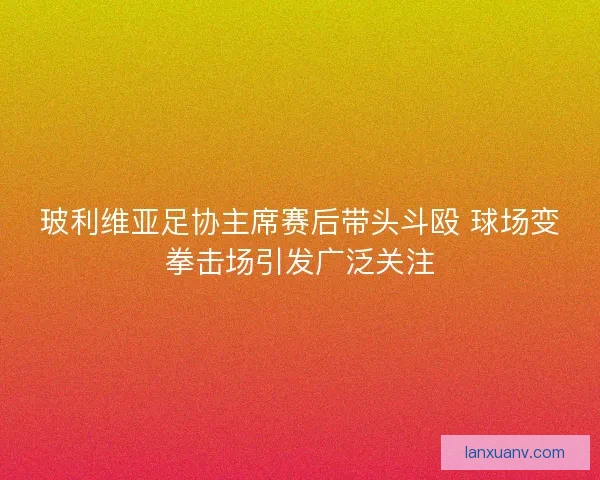 玻利维亚足协主席赛后带头斗殴 球场变拳击场引发广泛关注